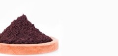 Elderberry Whole or Powder | Organic Dried Berries | Immune Boost 1/4/8 oz