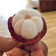 Cardiovascular Wellness Solution – MANGOSTEEN COMPLEX – Heart Health Support 1B