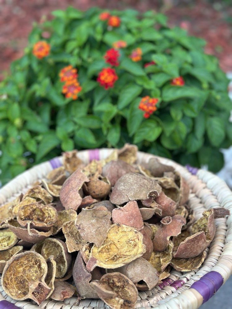 Dried Pomegranate Peel Organic 50G قشور الرمان مجففة