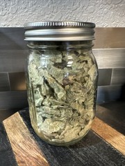 Dried Mullein