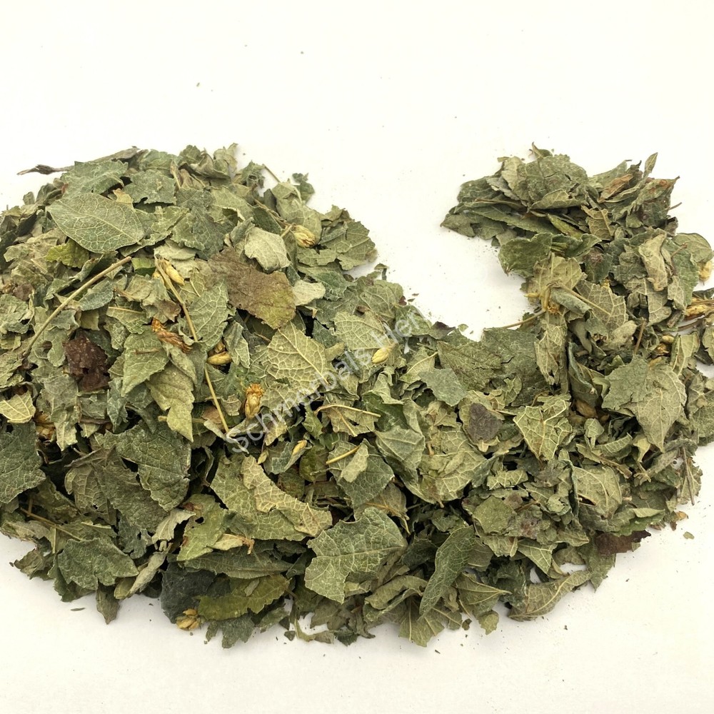 Dream Herb, Calea zacatechichi, Mexican Dream Herb ~ Schmerbals Herbals