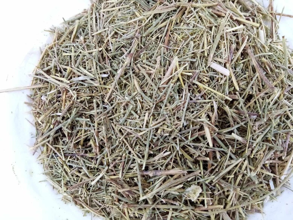 Common wormwood artemisia 100 gram (3.5 oz) عشبة الشيح شيح