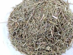 Common wormwood artemisia 100 gram (3.5 oz) عشبة الشيح شيح