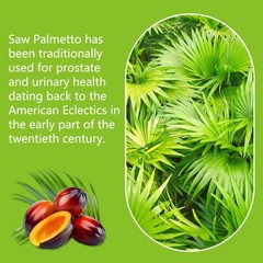 Saw Palmetto 1000mg Supports Healthy Hair Growth For Men & Women 120 Capsules