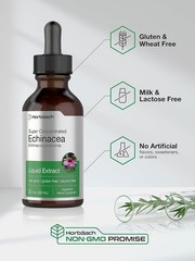 Horbaach Echinacea Drops Herb Tincture | 2 fl oz | Super Concentrated Root Extra