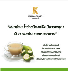 ORGANIC Raw Banana Powder Thai Herbal Digestive Support 200g.