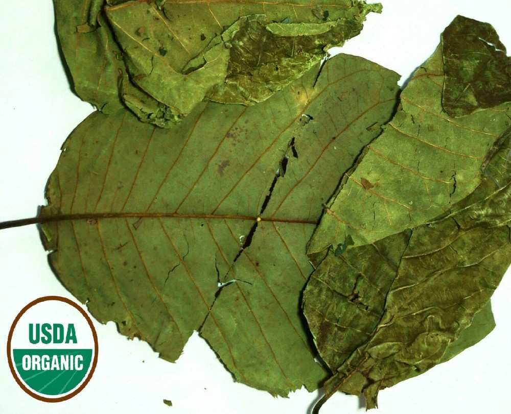 Organic SOURSOP GRAVIOLA LEAF | Annona muricata |Hojas de Guanabana| 1oz/2oz/4oz