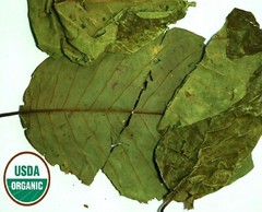 Organic SOURSOP GRAVIOLA LEAF | Annona muricata |Hojas de Guanabana| 1oz/2oz/4oz