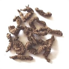 Patil Foods Indian Valerian Powder – Tagara Valeriana