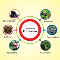 Baidyanath Nagpur Pathrina – 50 Tablets (Pack of 2) For Unisex – Free Shipping
