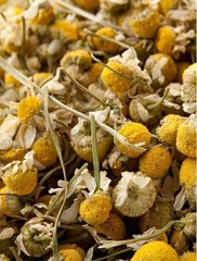 Herbs- Flowers