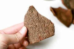 Cinnamon Cassia Bark 2.5oz