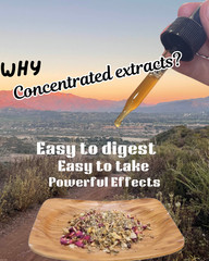Nerve Ease Tincture Extract Concentrate | Organic Willow Bark Pain Relief Drops