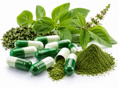 Tulsi (Holy Basil) Leaf Powder 50 VEGGIE Capsules Wellness Premium Quality Herbs