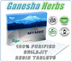 🐲Premium Pure Altai Shilajlt Resin 120 Tablets!! 200mg mumijo mumio mumiyo 🐲