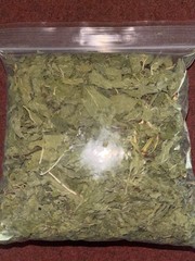 Mint Leaf – Hand Harvested – 1 oz. (Mentha) – Underground Apothecary