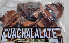 Cuachalalate Bark Seca Palo Cuachinala Mexican Organic Wild 100% Tea Grade 4oz !