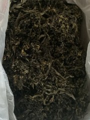 Dr. Sebi Inspired – Organic Wild Crafted Whole Leaf BLADDERWRACK 8oz Bag