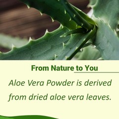 Aloe Vera Powder Pure Aloe Leaf 8oz Anti-inflammatory Natural Remedy