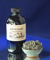 ARTICHOKE Tincture Bitter Digestion Liver Tonic Folk Remedy Extraction Wildcraft