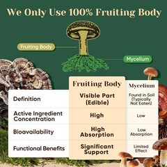 100% Fruiting Body Mushroom Powder – 90 Servings for Vitality & Clarity