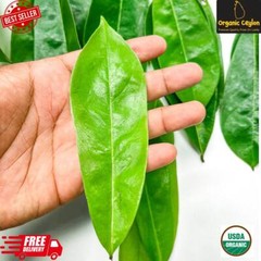 100% Organic Pure SOURSOP Graviola Leaf Guanabana Muricata Powder Hojas Annona