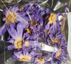Organic Blue Lotus Dried Flowers • Premium Nymphaea caerulea • FREE SHIPPING