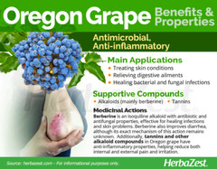 Oregon Grape Tincture: Cleans Fatty Liver & Dirty Blood, Skin Issues-Acne &Spots