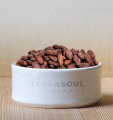 Terrasoul Superfoods Raw Organic Criollo Cacao Beans, 2 Lbs (2 Pack)