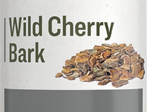 WILD CHERRY BARK – Natural Respiratory & Digestive Health Support Tincture USA