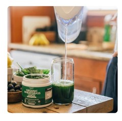 Raw BioActive Organic Wheatgrass Juice Powder – 20:1 Concentrate, 60 Servings