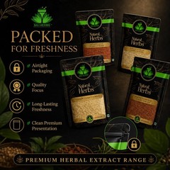 SAI HERBS Osha Root Extract Powder – Promotes Digestion