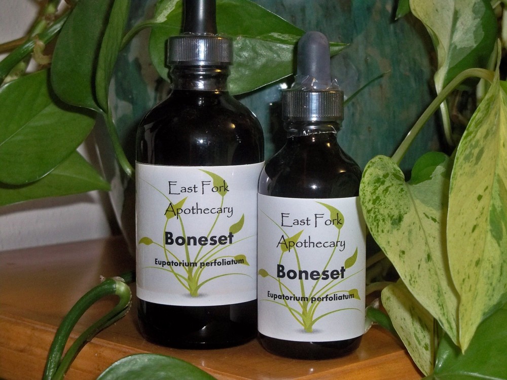 Boneset Tincture 2 oz. Wildcrafted