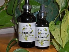 Boneset Tincture 2 oz. Wildcrafted