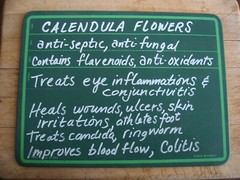 Calendula ~ Fresh Dried
