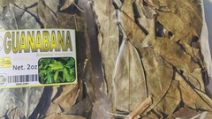 Soursop leaves, soursop leaf, Natural organic graviola leaves for tea