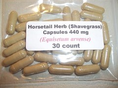 Horsetail Herb Powder Capsules – Shavegrass (Equisetum Arvense) 440 mg 30 count