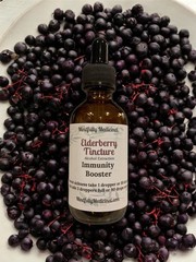 Organic Elderberry Tincture 2 oz ~ Immune Support Herbal Extract
