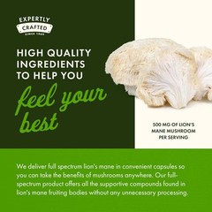 Swanson Lion’s Mane Mushroom – 60 Capsules, 500mg Each