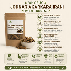 Jodnar Akarkara Irani Whole Roots Anacyclus Pyrethrum Pellitory Root Herbs