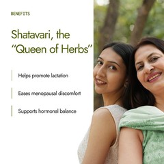 Shatavari Powder Pure Ayurvedic Herbal Root Powder Natural Wellness Supplement