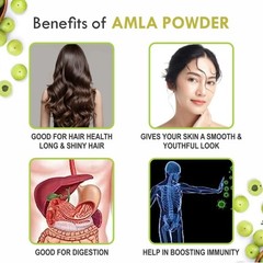 100% Premium Amla Powder| Indian Gooseberry|Natural & Chemical-Free (200 g)