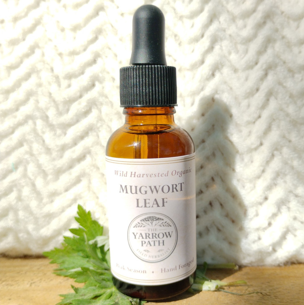 Organic Mugwort Tincture Fresh Artemisia Vulgaris Herbal Extract 1oz Bitter