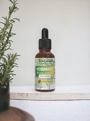Rosemary Tincture – (Memory & Focus) Alcohol Free