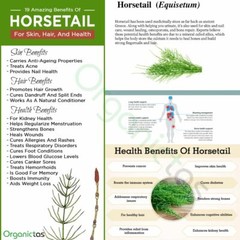 Horsetail Herb Organic Tea Natural Silicia for Hair, Skin, Nails, Detox, more…