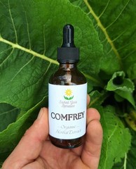 Comfrey Tincture, Repairs Bones, Cartilage & Tissue, FRESH Herbal Extract