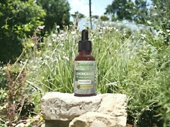 Lemongrass Tincture – Immune System (Alcohol Free)