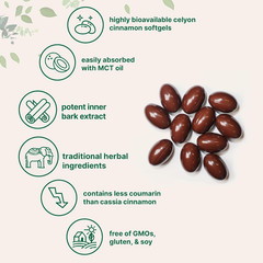 Micro Ingredients Ceylon Cinnamon | 300 Softgels with MCT Oil | Highly Bioavaila