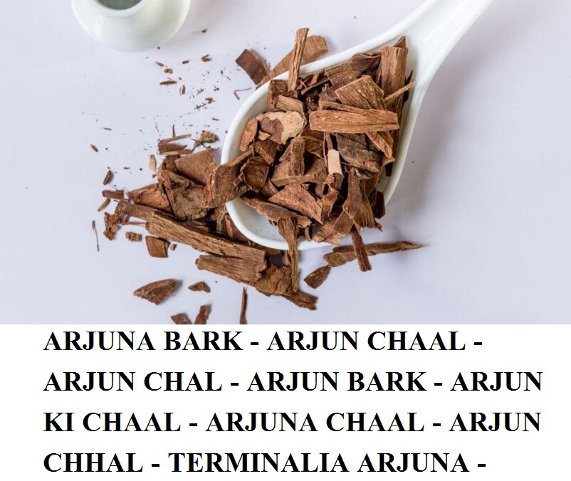 ARJUNA BARK – ARJUN CHAAL – TERMINALIA ARJUNA – MARUTHAM PATTAI 50gm / 1.76 oz