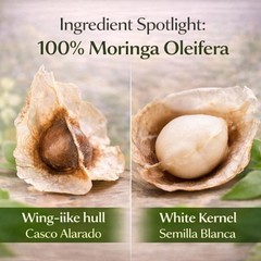 Moringa Seeds (Semillas) – 3.5 oz (Approx. 350 + Seeds) – Premium Moringa